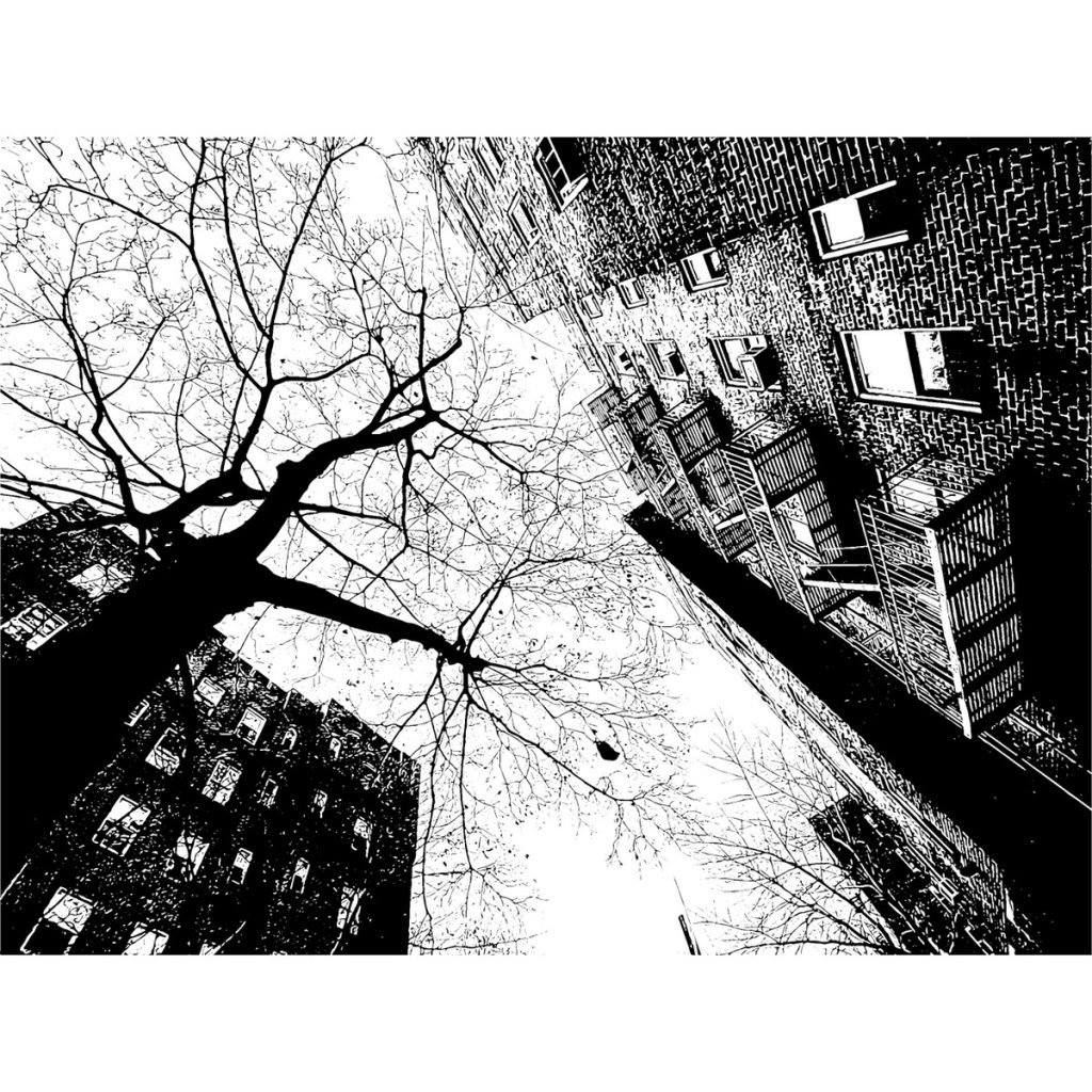 R日記 ～12日目～考えないこと、考えすぎること。