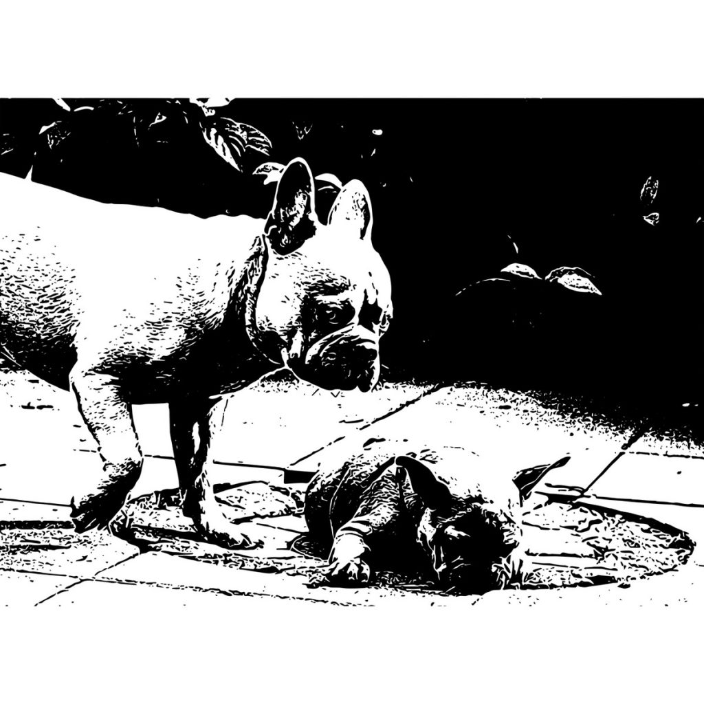 R日記 ～135日目～顔と肩だけしか見えない相手とのやりとり