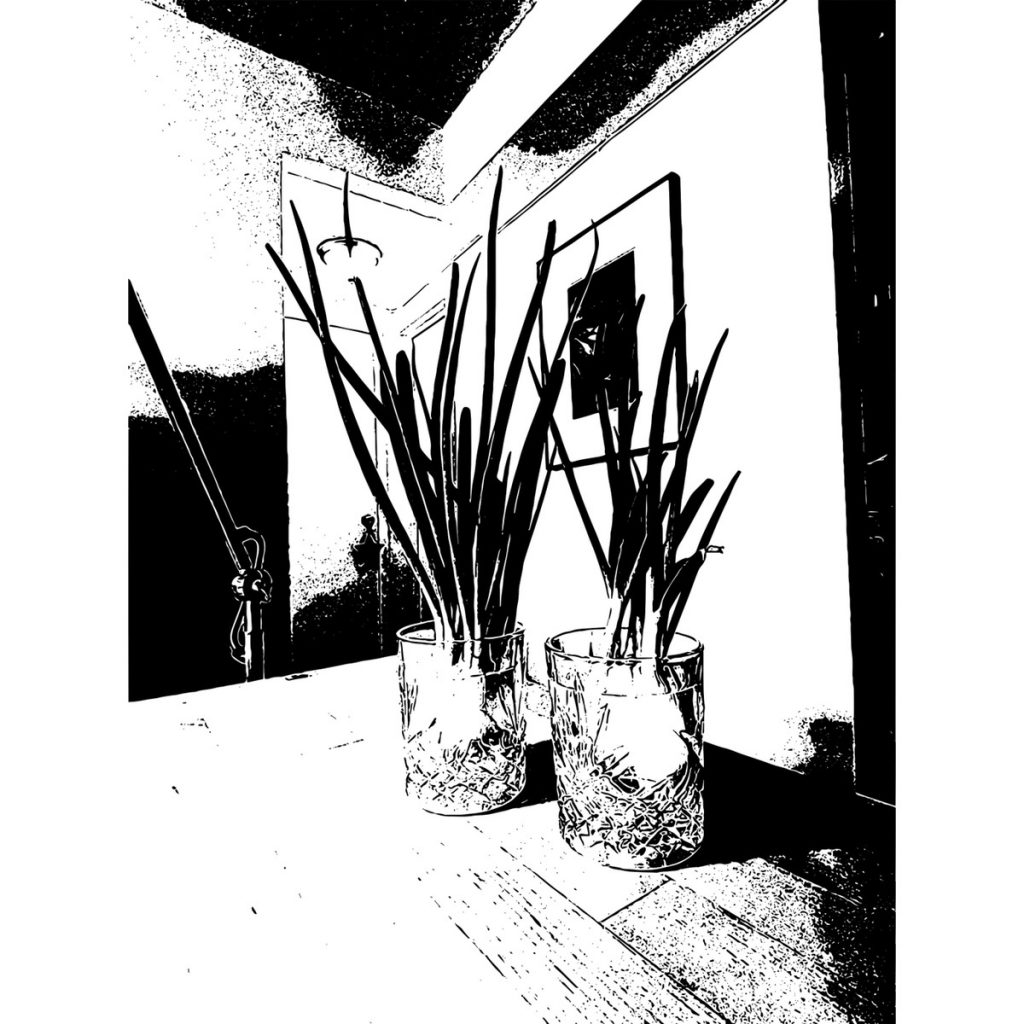 R日記 ～147日目～リボベジ収穫