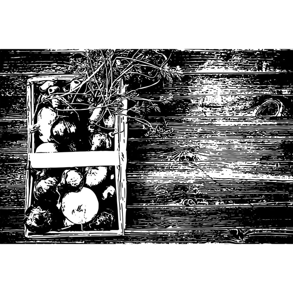 R日記 ～237日目～いつを生きるか