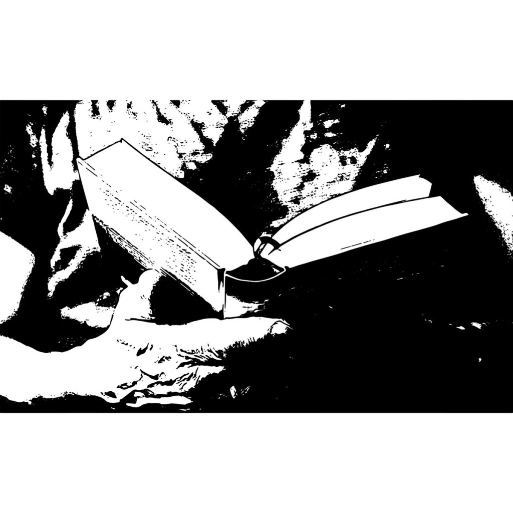 R日記 ～257日目～人生に迷ったら