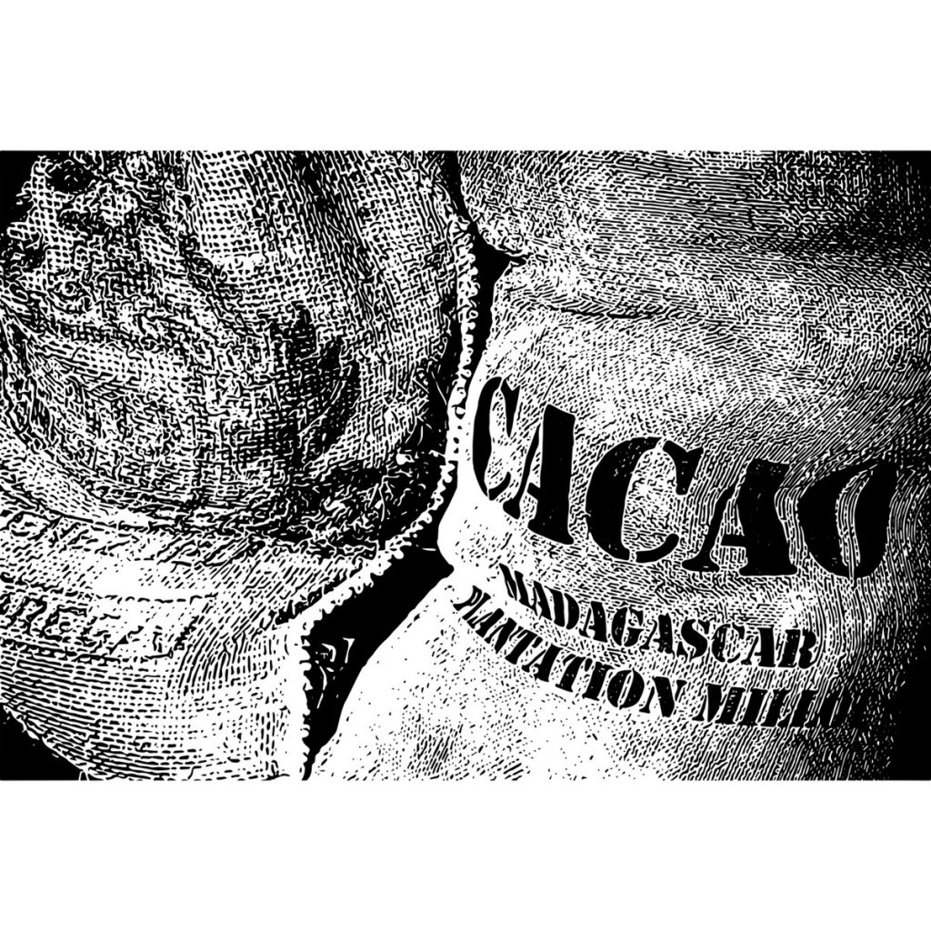 R日記 ～279日目～健全な精神と体力での労働