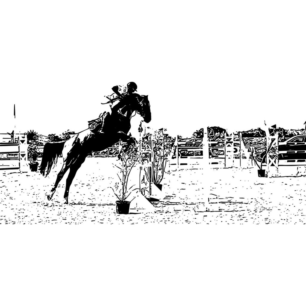 R日記 ～291日目～「素人力」の重要性