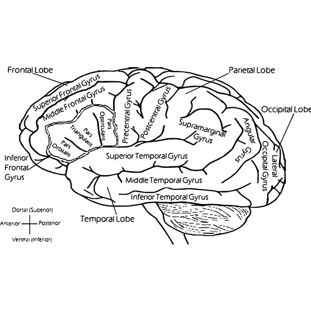 R日記 ～296日目～ちょっとだけやる
