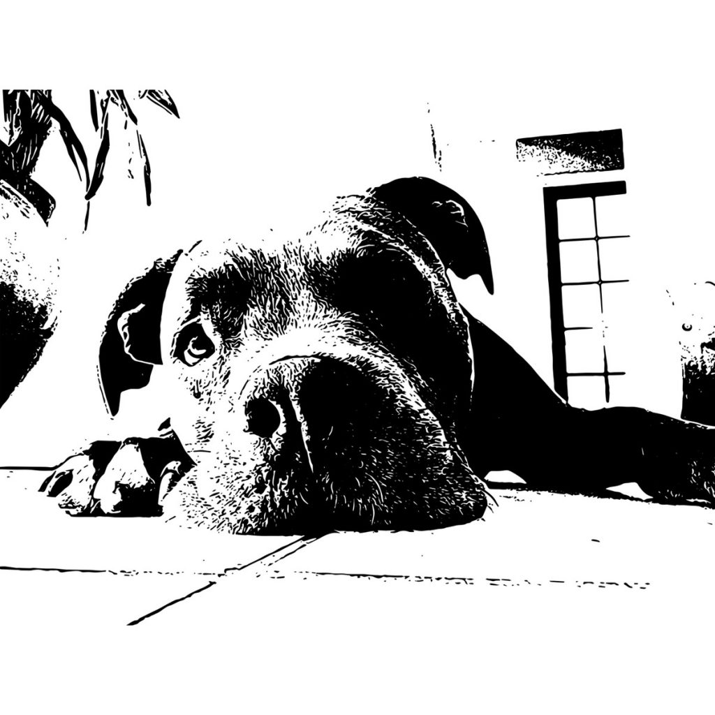 R日記 ～318日目～自分に対する勝手な思い込みも