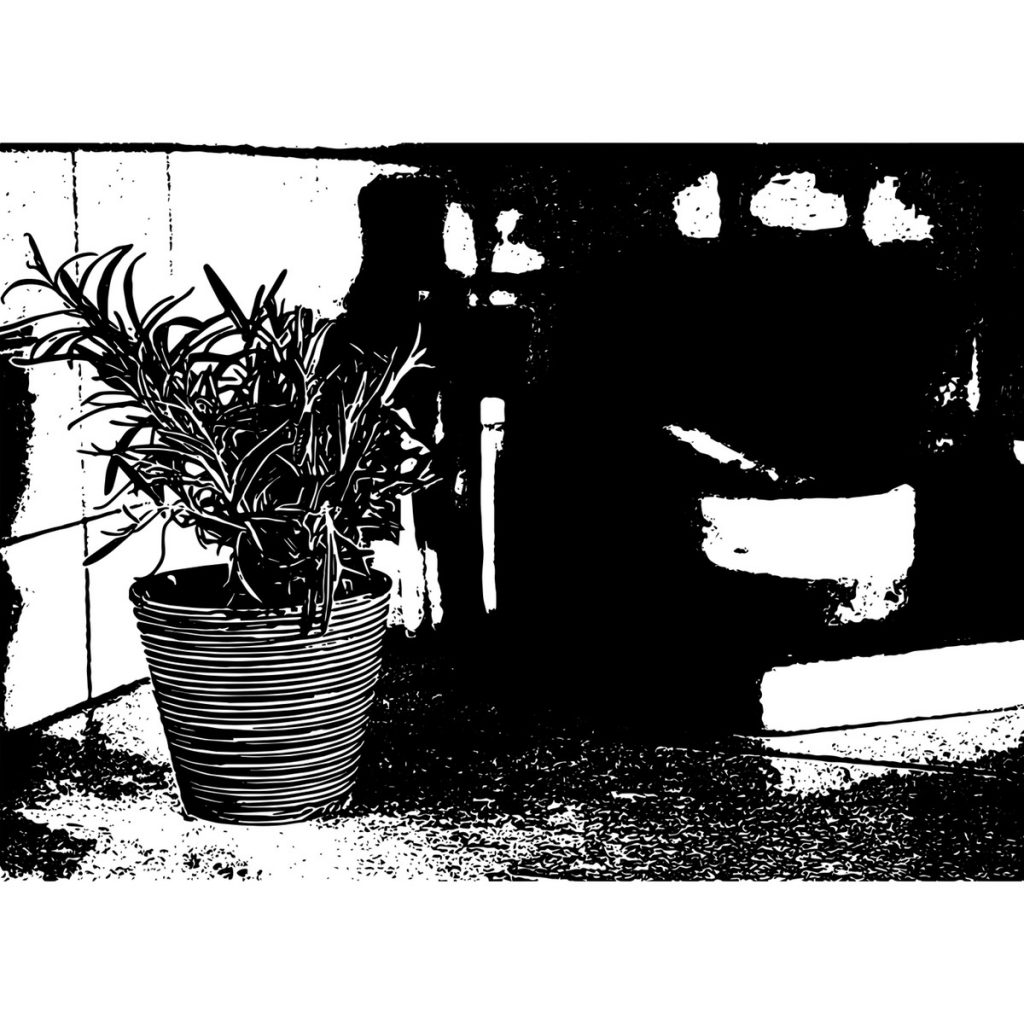 R日記 ～320日目～植物ふえて幸せアップ