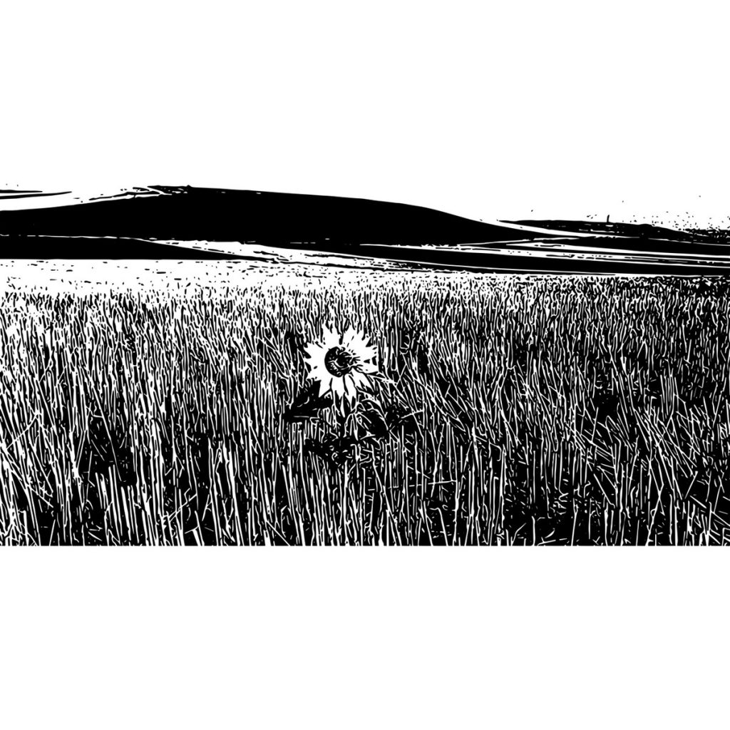 R日記 ～380日目～変化適応の定義