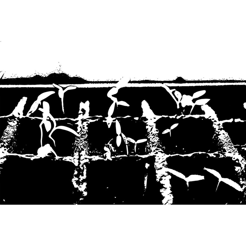 R日記 ～415日目～自分が見つからないとき