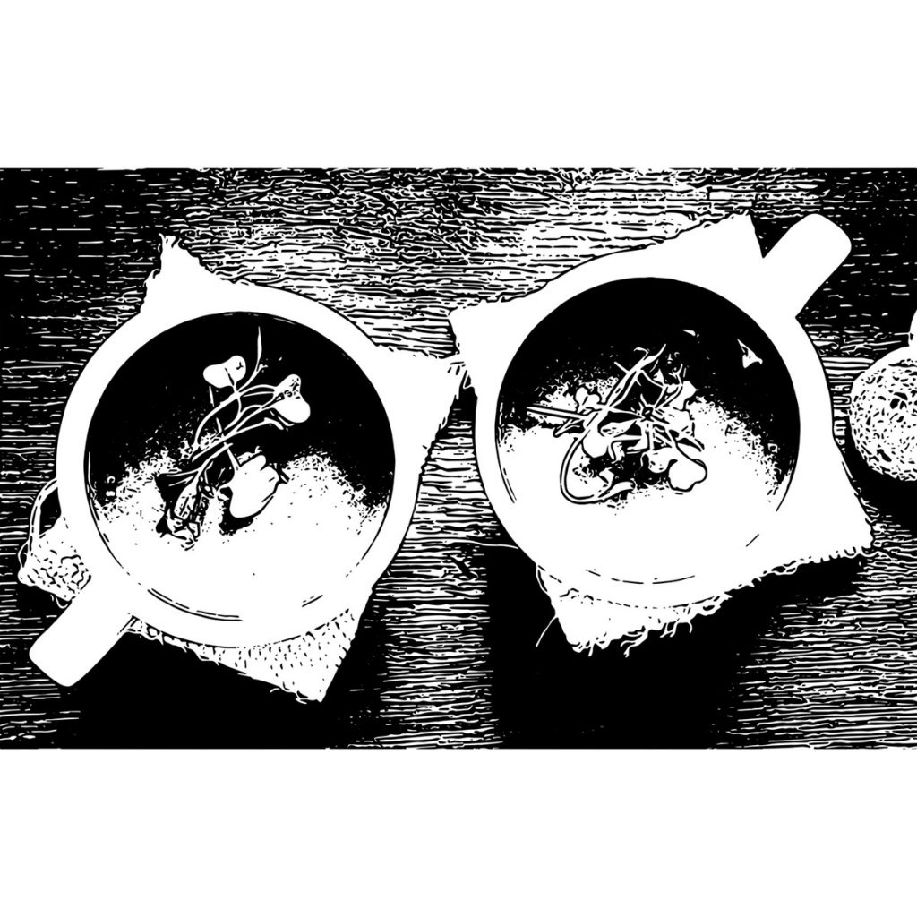 R日記 ～419日目～食感は物理、味覚は科学