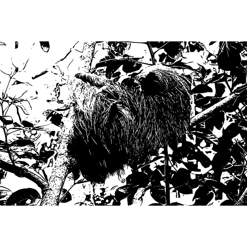 R日記 ～423日目～僕はナマケモノ