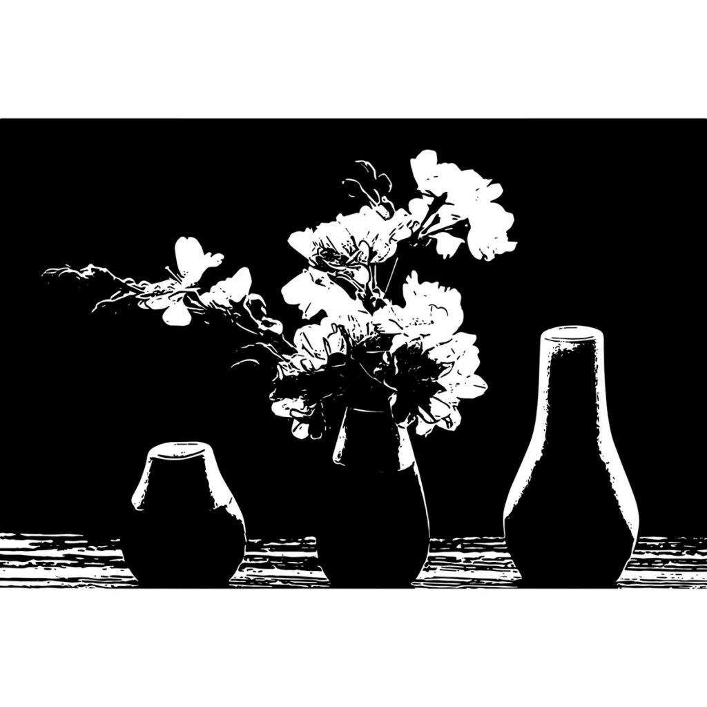 R日記 ～431日目～素が晴れる