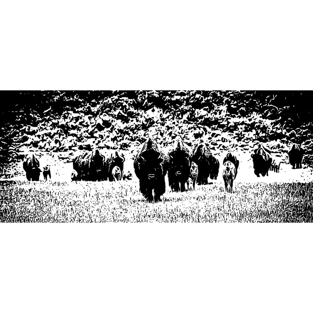 R日記 ～445日目～バッファロー理論