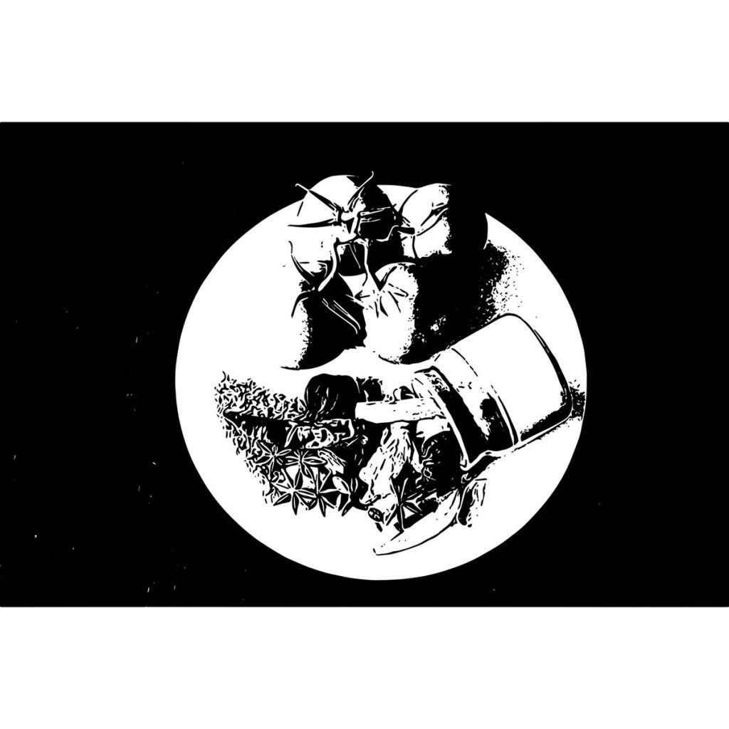 R日記 ～463日目～人のアドバイスは聞かない力