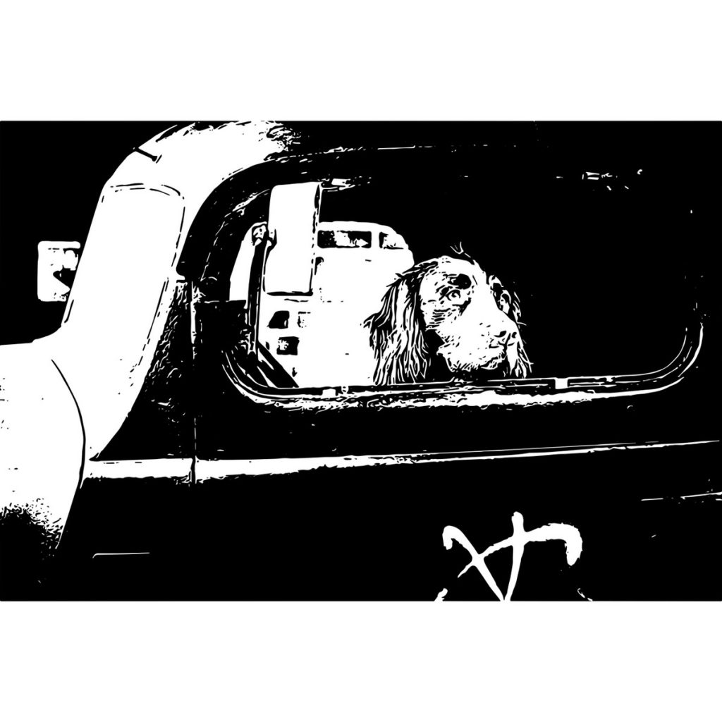 R日記 ～585日目～誠実な人間であるために