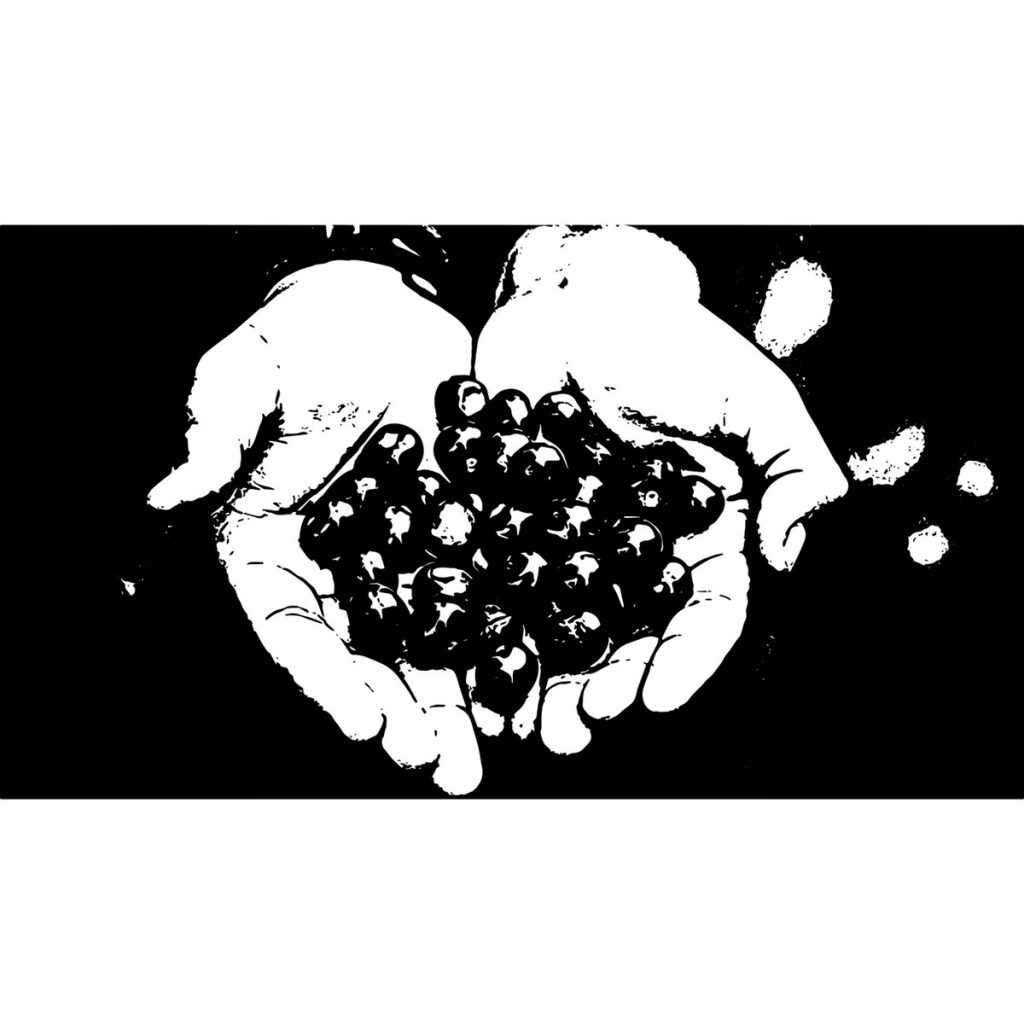 R日記 ～720日目～秋の収穫は一日にしてならず